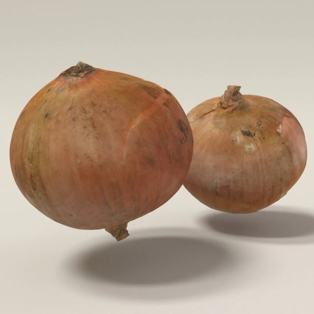 onion 3d scanned 3D Model .c4d .max .obj .3ds .fbx .stl .blend 