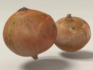 bawang 3d dipindai Model 3D