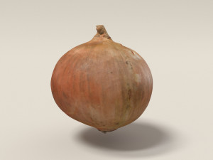 onion 3d scanned Modello 3D