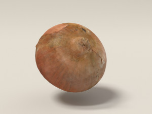 onion 3d scanned Modello 3D