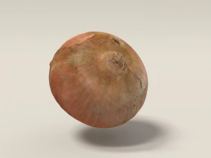 onion 3d scanned 3D Model