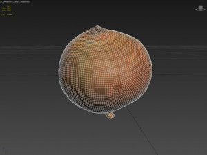 onion 3d scanned Modello 3D