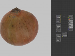 onion 3d scanned Modello 3D