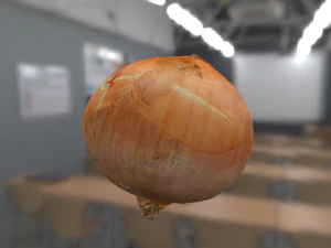 onion 3d scanned 3D Model