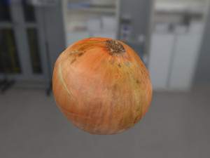 onion 3d scanned Modello 3D