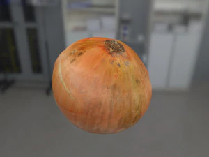 onion 3d scanned 3D Model