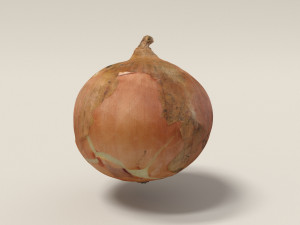 onion 3d scanned Modello 3D