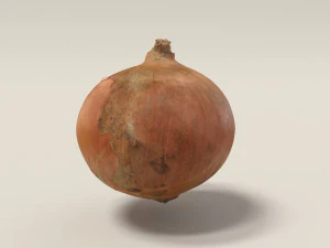 onion 3d scanned 3D Model