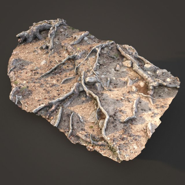 nature ground scan 001 Modello 3D .c4d .max .obj .3ds .fbx .stl .blend 
