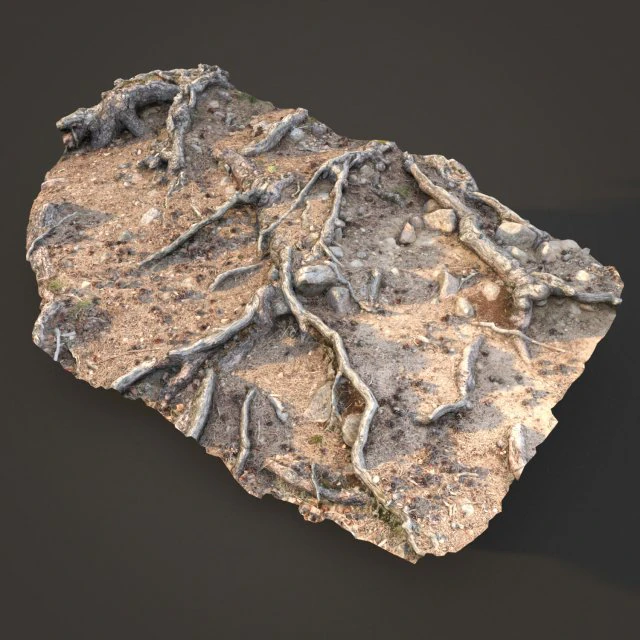 nature ground scan 001 3D Model .c4d .max .obj .3ds .fbx .stl .blend 