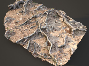 nature ground scan 001 Modelo 3D