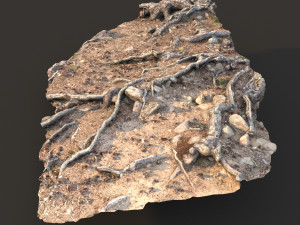 nature ground scan 001 Modello 3D