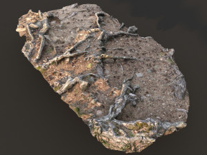 nature ground scan 001 Modello 3D