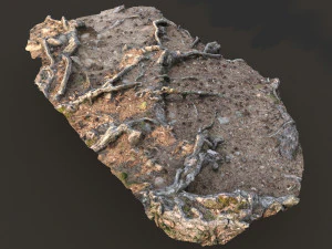 nature ground scan 001 3D Model
