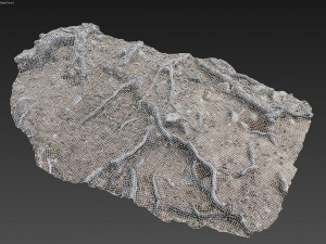 nature ground scan 001 Modello 3D