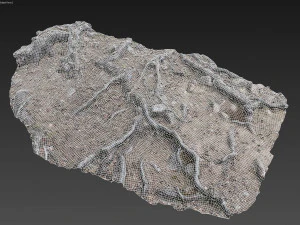 nature ground scan 001 3D Model