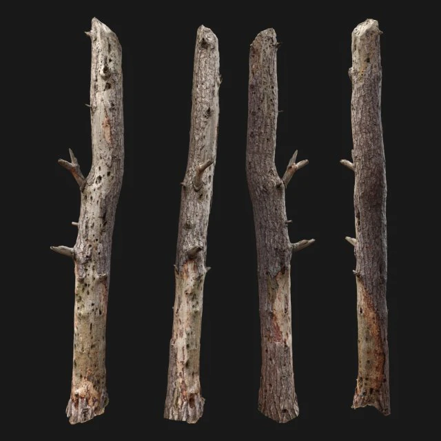 dead tree 3d scan 3D Model .c4d .max .obj .3ds .fbx .stl .blend 
