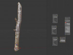 dead tree 3d scan 3D Model