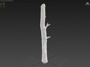 dead tree 3d scan Modelo 3D