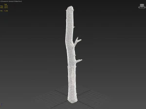dead tree 3d scan 3D Model