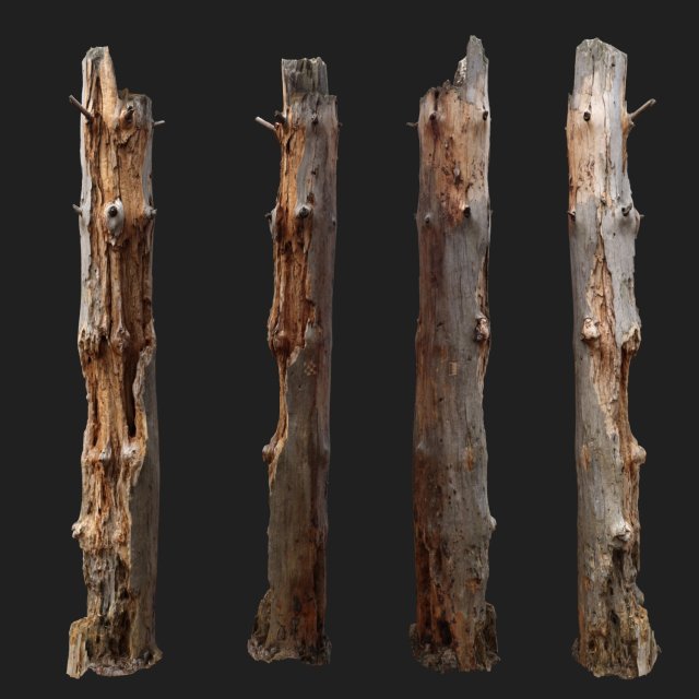 dead tree 3d scan - 3dscannatureasset0002 3D 模型 .c4d .max .obj .3ds .fbx .stl .blend 