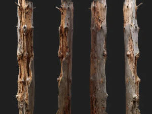 Skan 3D martwego drzewa - 3dscannatureasset0002 Model 3D