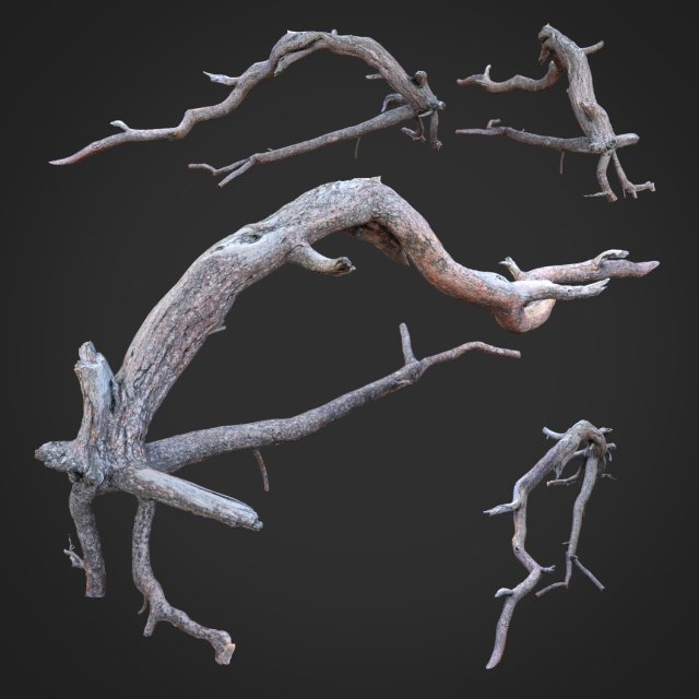 dead tree 3d scan sna0003 3D मॉडल .c4d .max .obj .3ds .fbx .stl .blend 