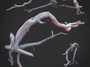 dead tree 3d scan sna0003 3D मॉडल