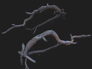 dead tree 3d scan sna0003 3D Model