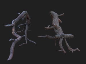 dead tree 3d scan sna0003 3D मॉडल