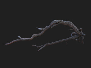 dead tree 3d scan sna0003 3D मॉडल