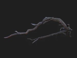 dead tree 3d scan sna0003 3D Model