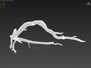 dead tree 3d scan sna0003 3D मॉडल