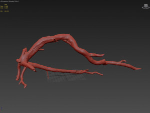 dead tree 3d scan sna0003 3D मॉडल
