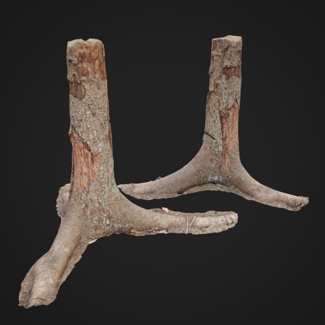 dead tree 3d scan 4 3D Model .c4d .max .obj .3ds .fbx .stl .blend 