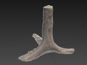 dead tree 3d scan 4 3D Model