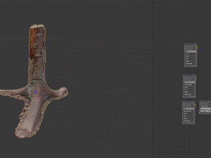 dead tree 3d scan 4 3D Model