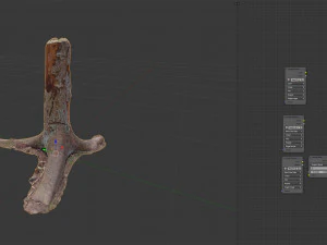 dead tree 3d scan 4 3D Model