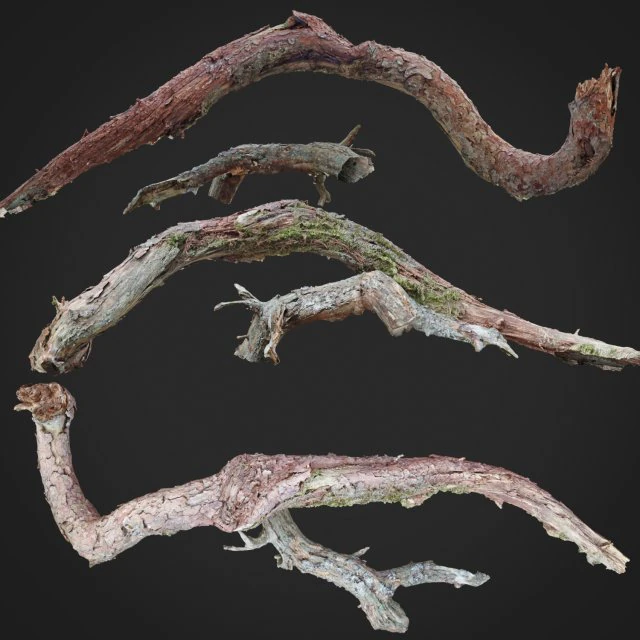 dead twisted tree 3d scan 5 3D Model .c4d .max .obj .3ds .fbx .stl .blend 