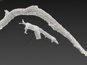 dead twisted tree 3d scan 5 Model 3D