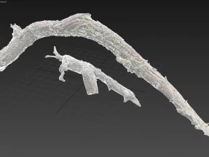dead twisted tree 3d scan 5 3D Model