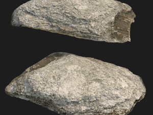 rauk stone scan e 3D मॉडल
