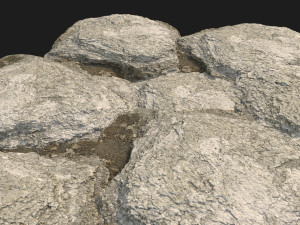 rauk stone scan e 3D Model