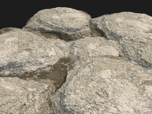rauk stone scan e 3D Model