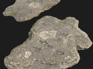 rauk stone scan g 3D 모델