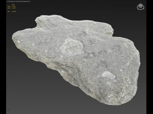 rauk stone scan g 3D Модель