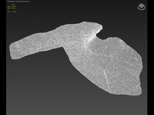rauk stone scan h 3D 模型