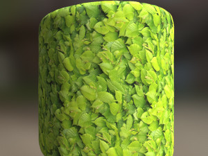 leaf texture CG Tekstury