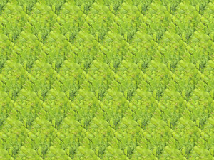 leaf texture CG Tekstury