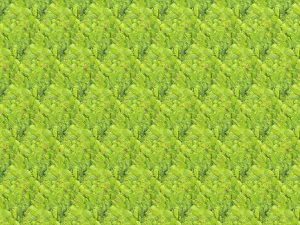 Blattstruktur CG Texturen